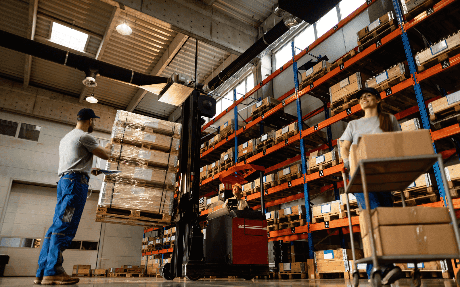 Best Warehouse Management System software